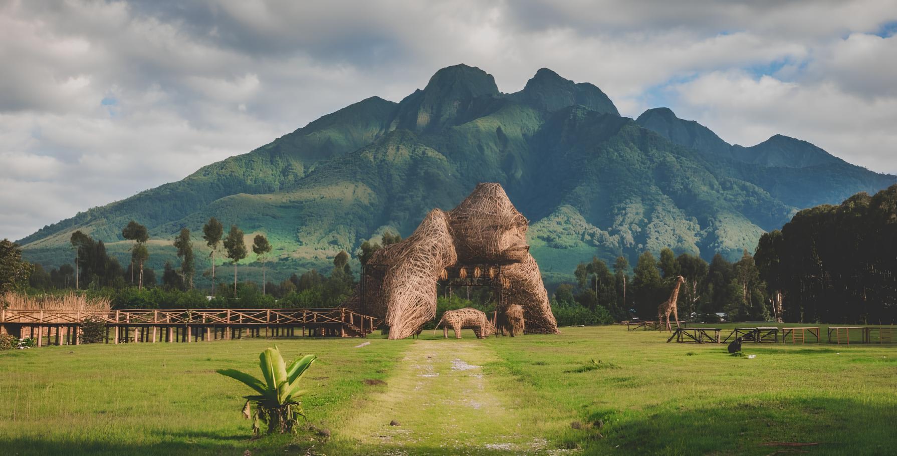 Lush green hills in Rwanda representing land and opportunity in East Africa